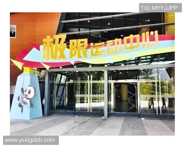 重庆极限运动队的进攻策略与挑战深度解析